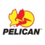 Pelican